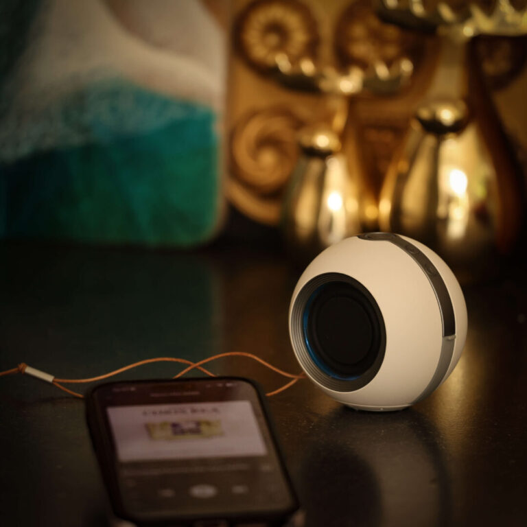 Speaker  0803